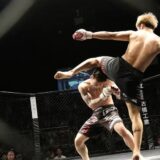 MMA vs. Boxing: Betting Market Comparison and Fight Availability